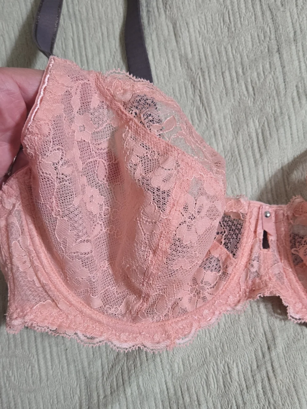 Freya Offbeat Rosehip Lace Plunge Bra with Contrast Straps Size 36D NWT